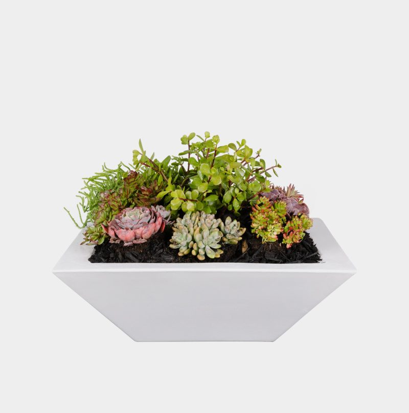 Classic Pearl Knife Edge Planter Bowl